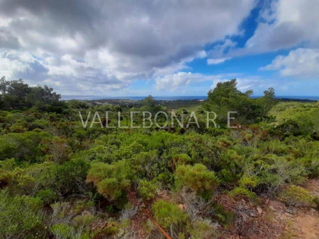 Terreno in vendita a Carloforte, Sardigna/Sardegna