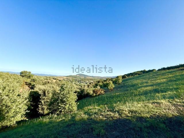 Terreno in vendita a Istia Ponte, Monte Argentario
