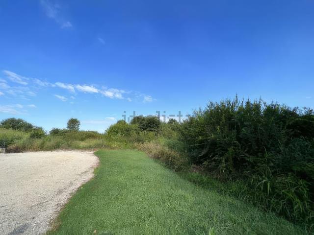 Terreno in vendita a Isola Della Scala, Veneto