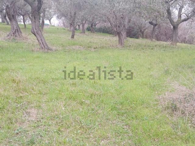 Terreno in vendita a Pianacce, Silvi