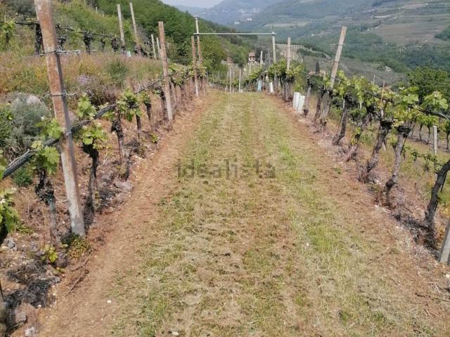 Terreno in vendita a Illasi, Veneto
