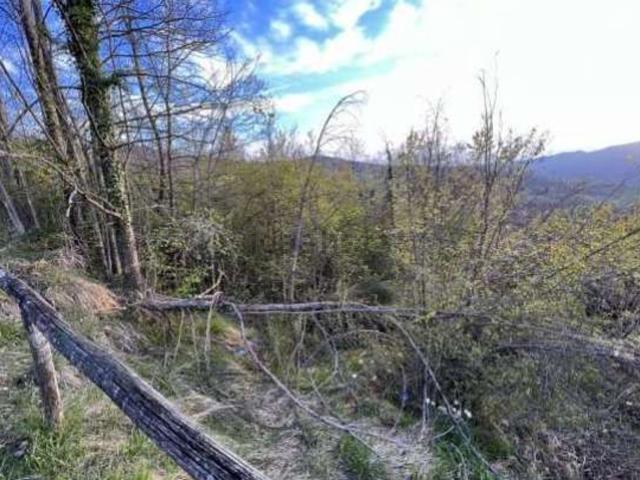 Terreno in vendita a Unione dell'Appennino Bolognese, Monzuno