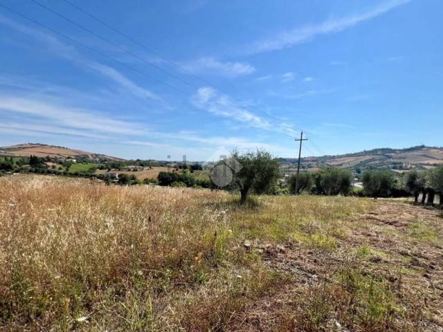 Terreno in vendita a Molviano Basso (La Madonna), Campli