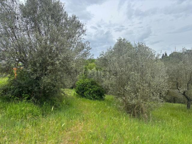 Terreno in vendita a Montopoli Di Sabina, Lazio
