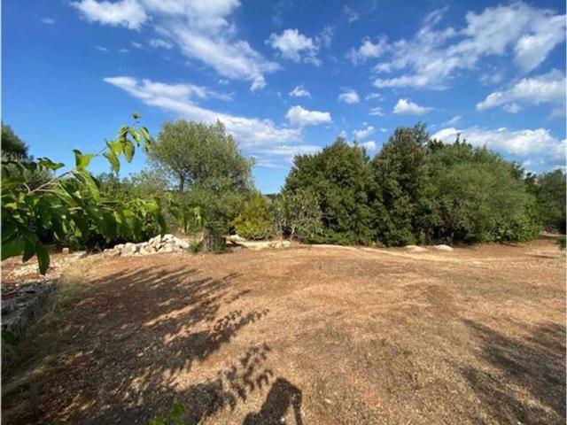 Terreno in vendita a Borgo Rurale Pascarosa, Puglia