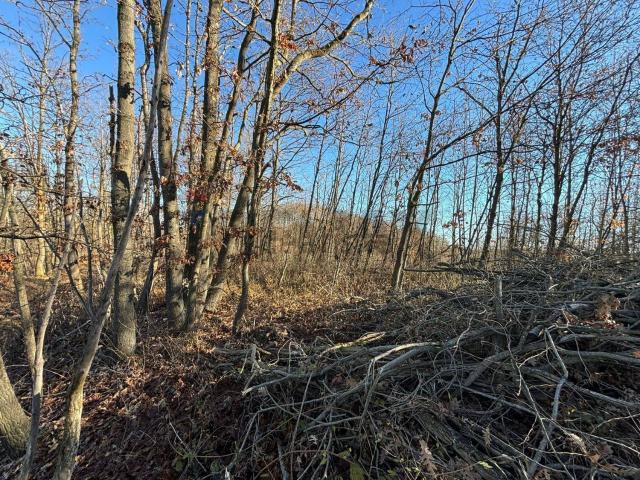 Terreno in vendita a Piemonte, Cuneo