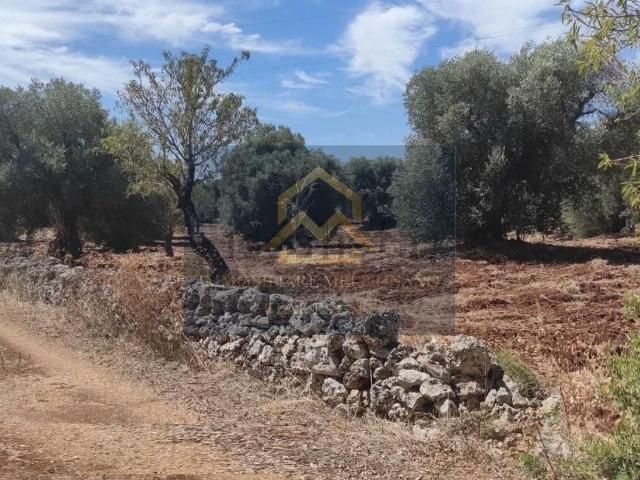 Terreno in vendita a Puglia, Brindisi