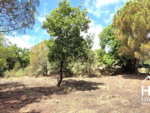 Terreno in vendita a Nicolosi, Sicilia