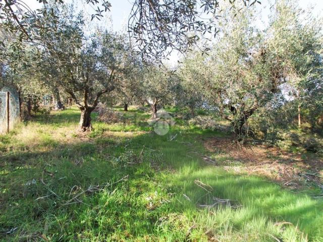 Terreno in vendita a Unione dei Comuni della Val Vibrata, Tortoreto