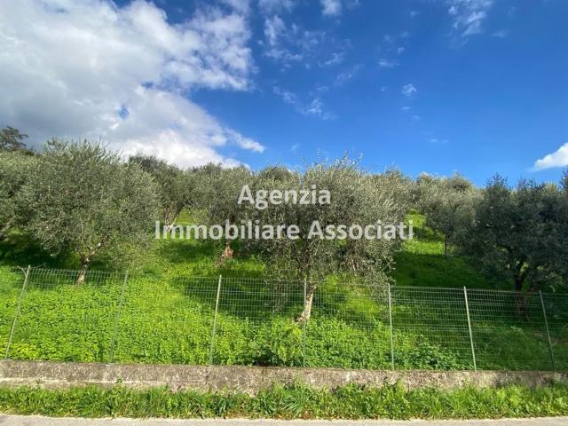 Terreno in vendita a Pove Del Grappa, Veneto