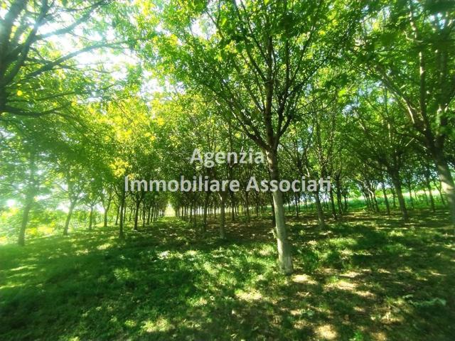 Terreno in vendita a Campagnari, Tezze Sul Brenta