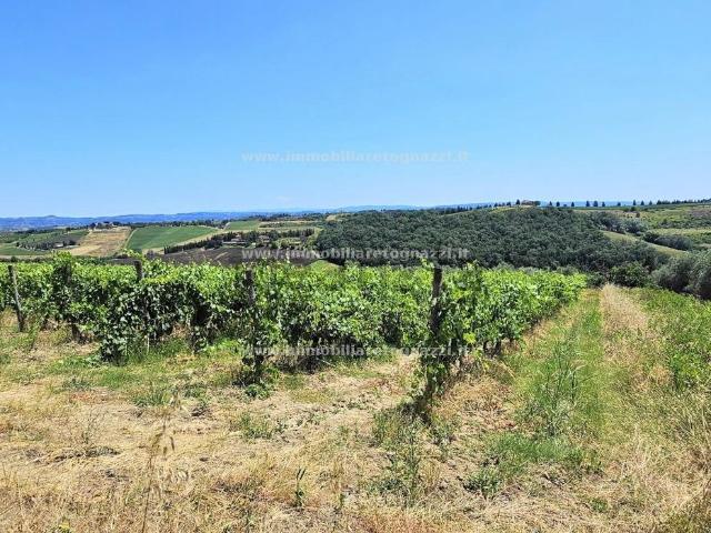 Terreno in vendita a San Gimignano, Toscana