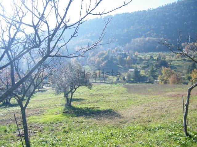 Terreno in vendita a Alatri, Lazio