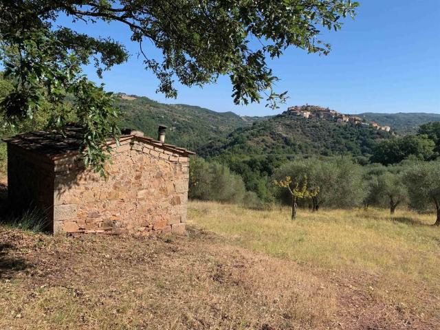 Terreno in vendita a Seggiano, Grosseto