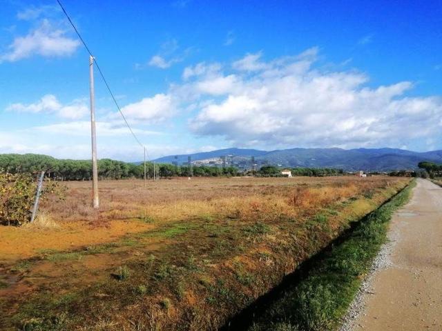 Terreno in vendita a Cortona, Toscana