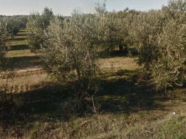 Terreno in vendita a Principina Terra, Monte Argentario