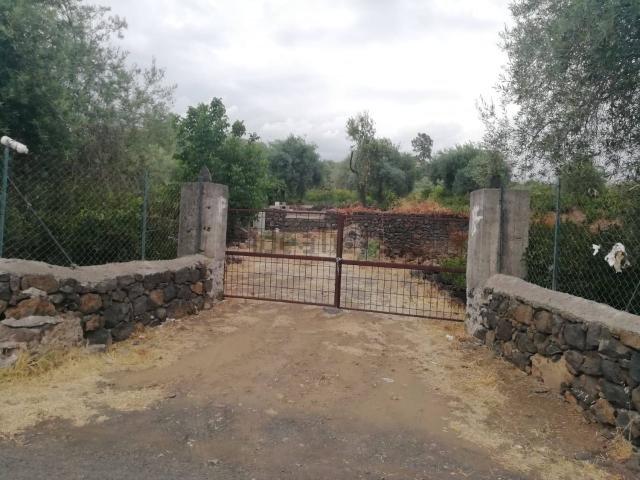 Terreno in vendita a Santa Maria Di Licodia, Sicilia