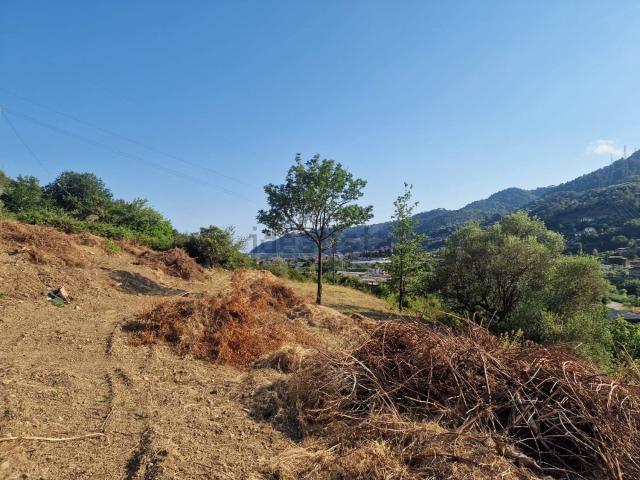 Terreno in vendita a Camporosso, Liguria