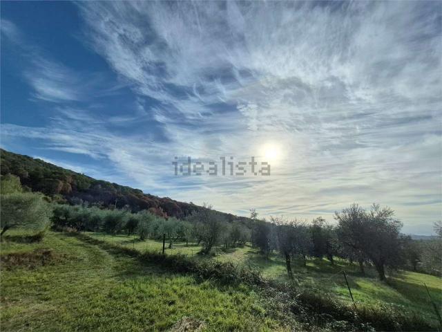 Terreno in vendita a Roccasecca, Frosinone