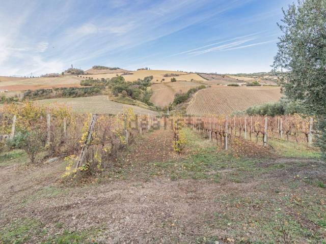 Terreno in vendita a Marche, Ascoli Piceno