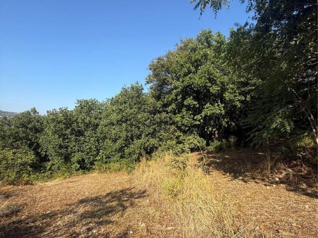 Terreno in vendita a Lapio, Campania