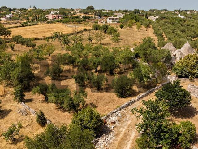 Terreno in vendita a Puglia, Taranto