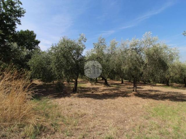 Terreno in vendita a Fara Sabina, Lazio