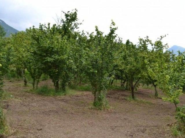 Terreno in vendita a Montefredane, Campania