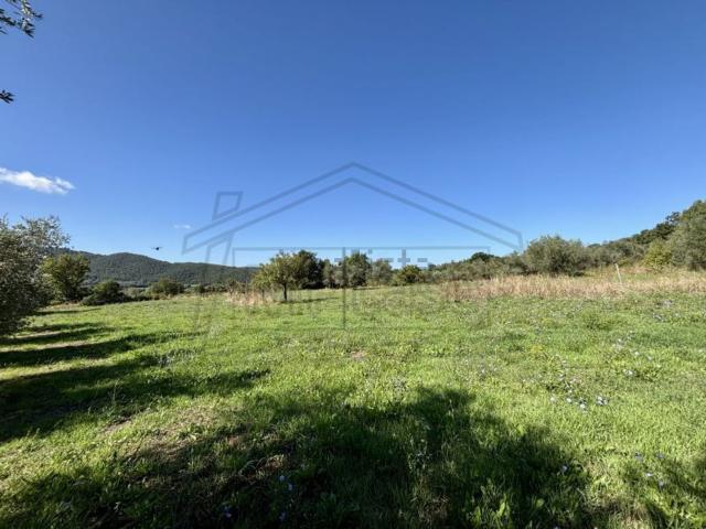 Terreno in vendita a Montefiascone, Lazio