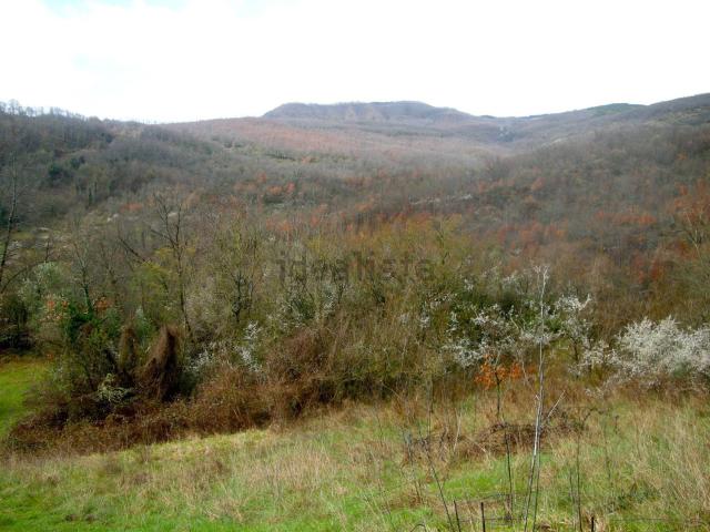 Terreno in vendita a Unione dei Comuni Montani Amiata Grossetana, Santa Fiora