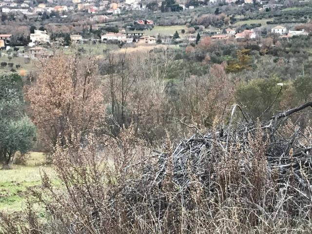Terreno in vendita a Leschito, Foglianise