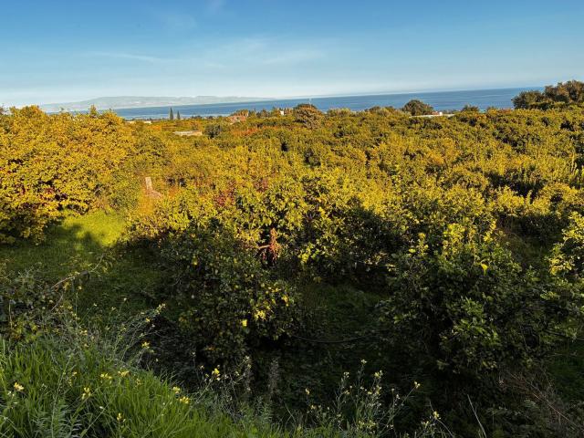 Terreno in vendita a Giarre, Sicilia