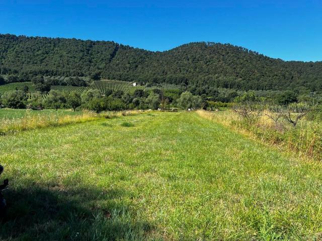Terreno in vendita a Le Mosse, Montefiascone