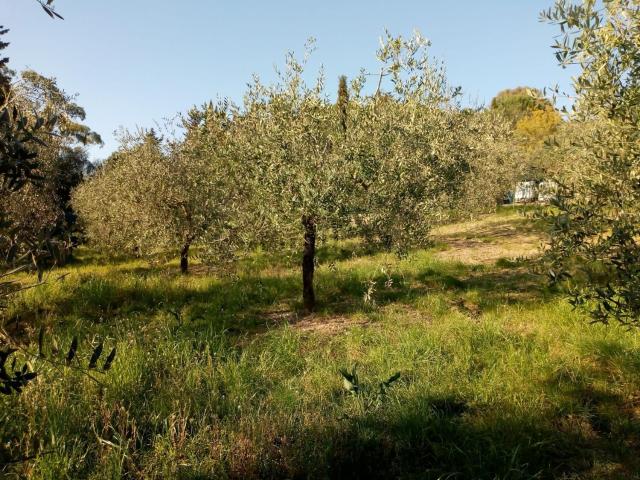 Terreno in vendita a Follonica, Toscana