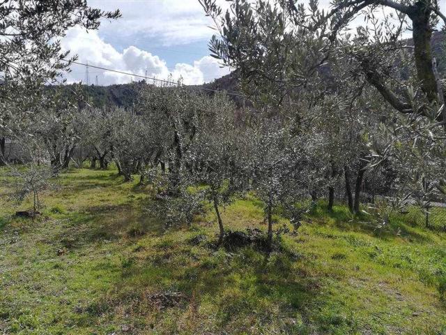 Terreno in vendita a Terni, Umbria