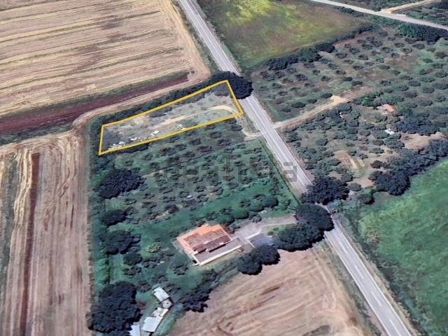 Terreno in vendita a Macchiascandona, Castiglione Della Pescaia