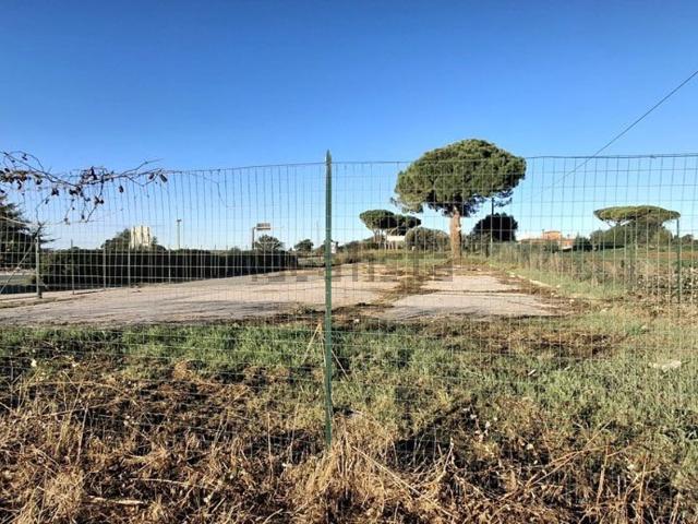 Terreno in vendita a Capalbio, Toscana