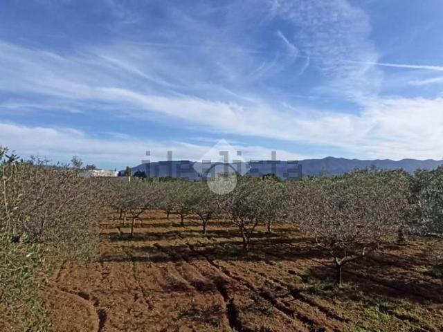 Terreno in vendita a Quartu Sant'elena, Sardigna/Sardegna