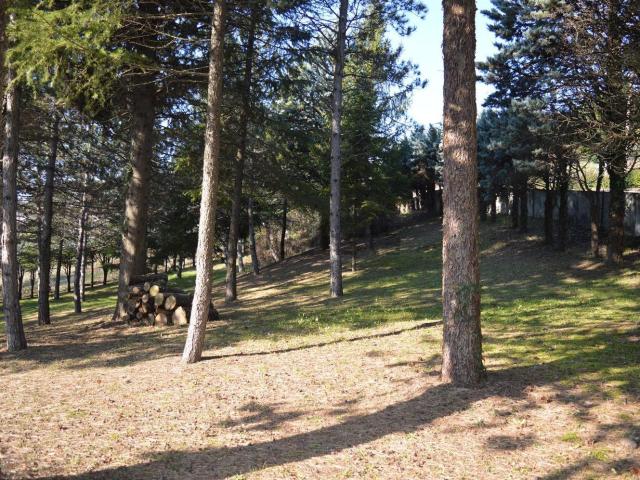 Terreno in vendita a Unione dei comuni Savena-Idice, Monterenzio