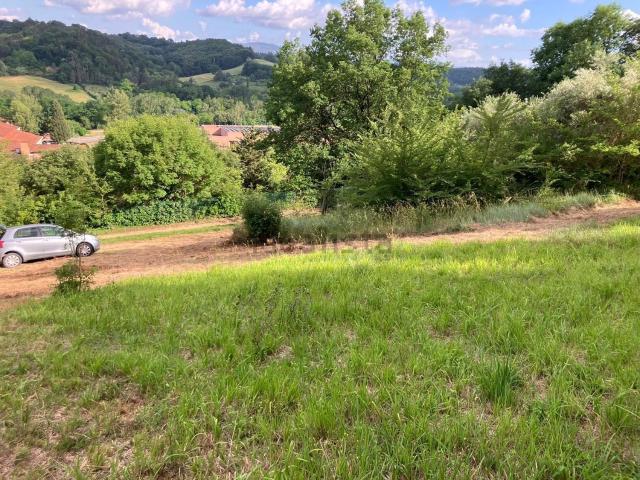 Terreno in vendita a Calcinaia, Lecchi