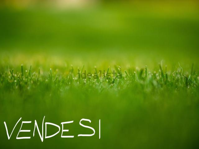 Terreno in vendita a Mussolente, Veneto