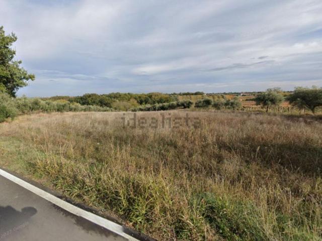 Terreno in vendita a Ari, Abruzzo