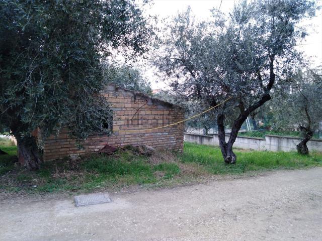 Terreno in vendita a Moscufo, Abruzzo