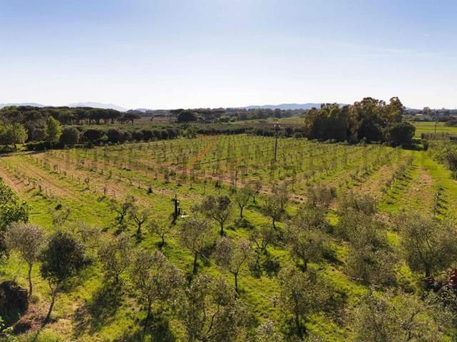 Terreno in vendita a Piombino, Toscana