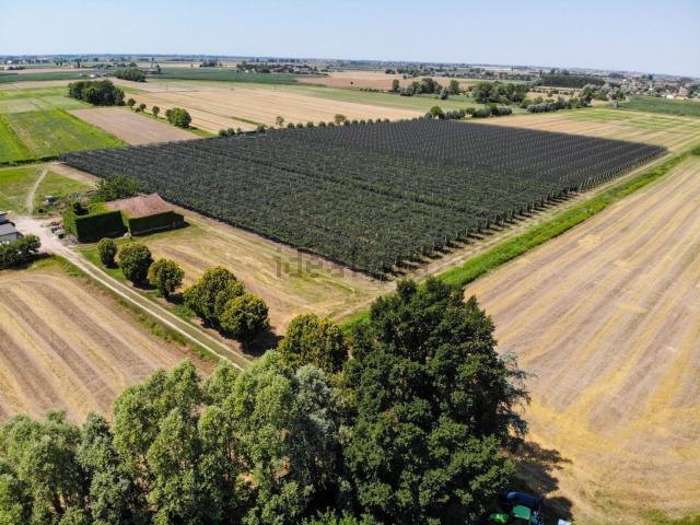 Terreno in vendita a Rovigo, Veneto