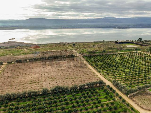 Terreno in vendita a Lentini, Sicilia