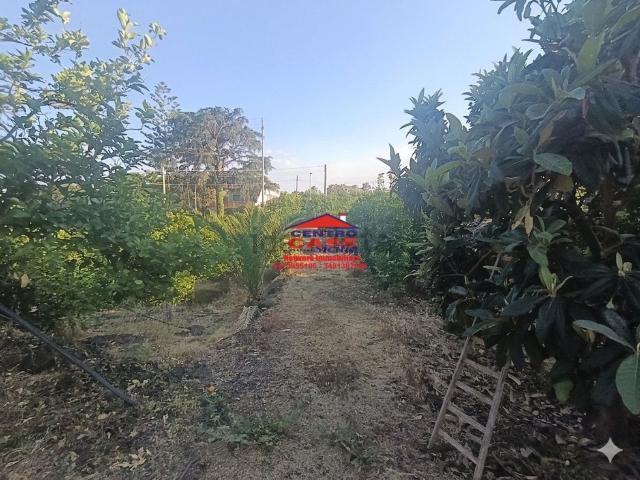 Terreno in vendita a Santa Venera, Mascali