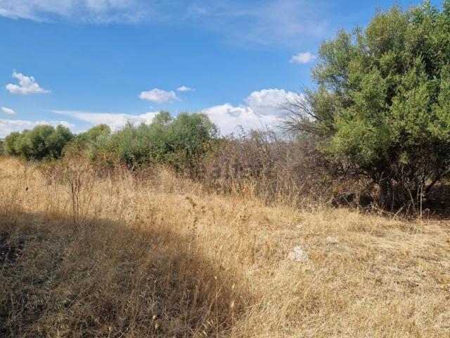 Terreno in vendita a Borgata, Augusta
