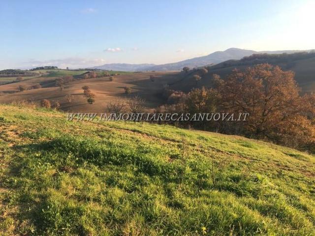 Terreno in vendita a Campagnatico, Toscana