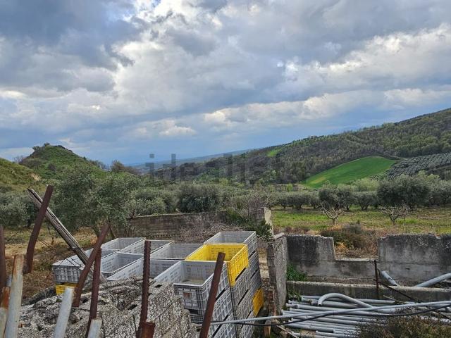 Terreno in vendita a Calabria, Cosenza